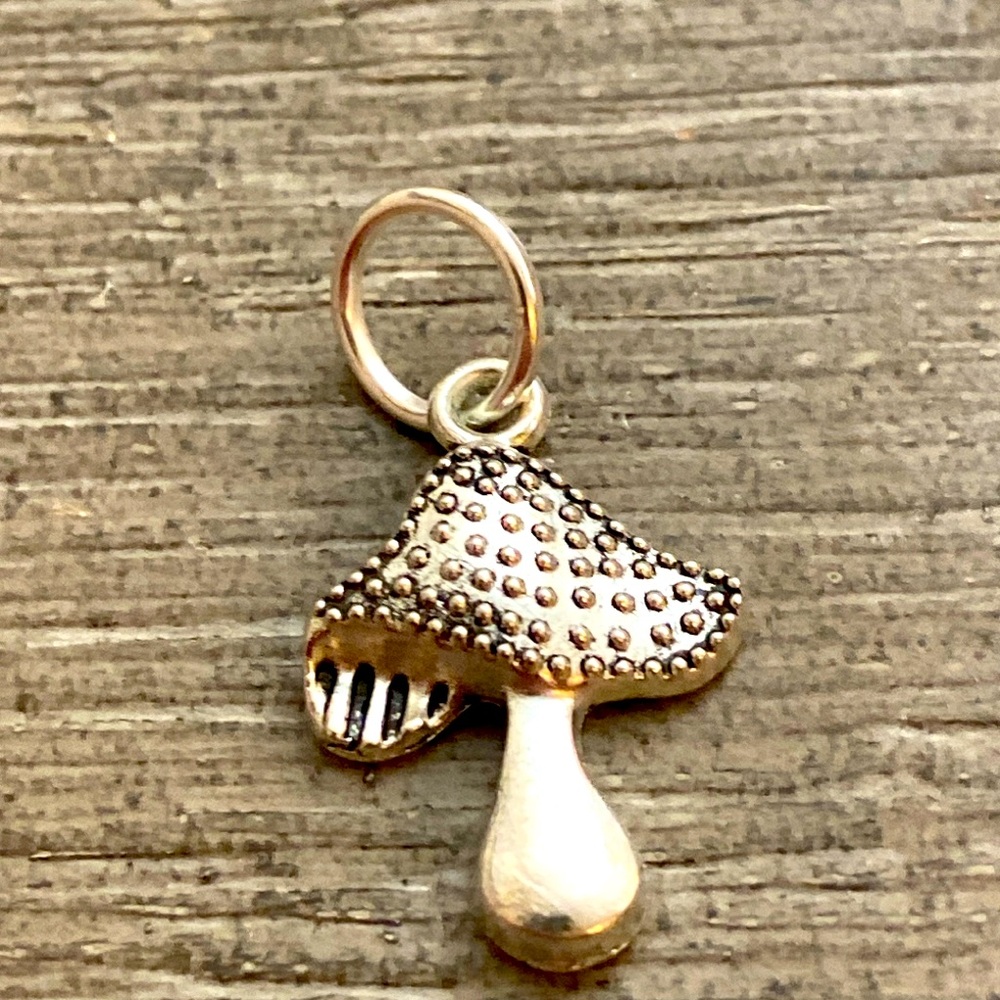 5/$10❤️❤️❤️NEW TIBETAN SILVER MUSHROOM CHARM PENDANT